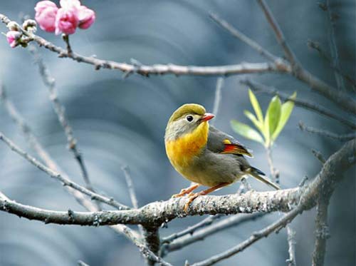 快速记英语的方法