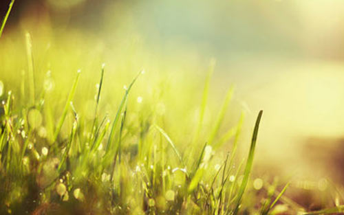 英语作文给笔友写一封信-重庆美联英语培训