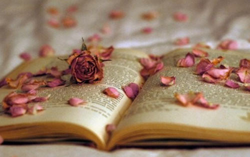 教你怎么写英语作文-乌鲁木齐韦博英语