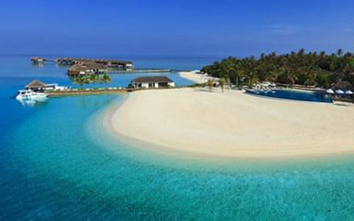 描写语文老师的英语作文-深圳美联英语