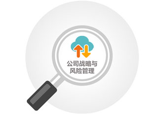 公司战略与风险管理