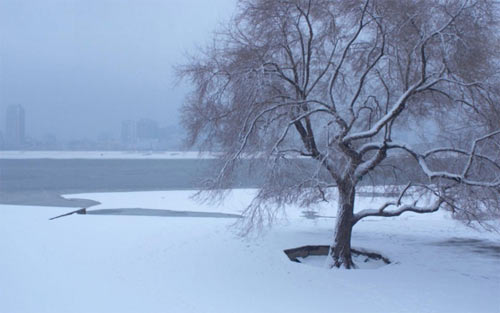 冬天的景色描写英语作文