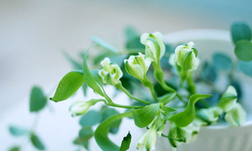 考研需要准备些什么