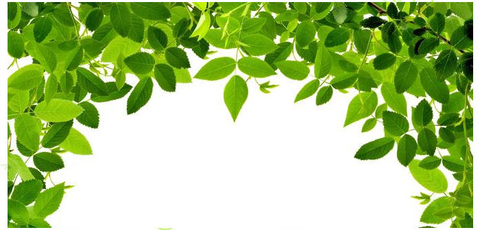 怎样拒绝别人_拒绝别人的技巧-上海新励成口才