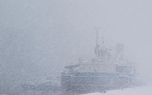 描写雪花的段落_描写雪的段落_描写雪后的段落