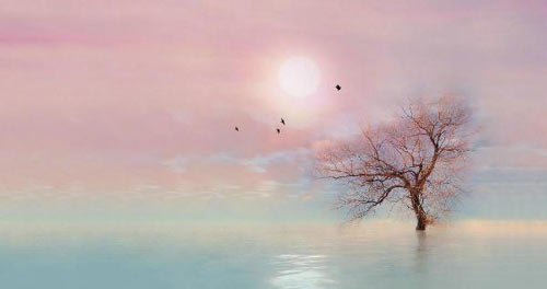 上台演讲技巧_怎么上台演讲