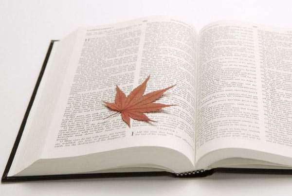 以导游的语气写公园之旅英语作文-乌鲁木齐韦