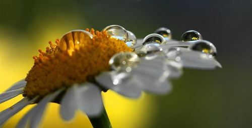 日语发音方法_日语基本发音