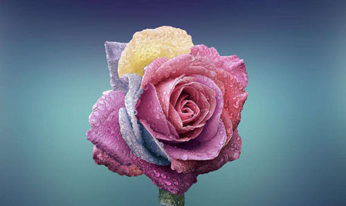 怎样让自己的口才变好_如何使口才变得更有魅