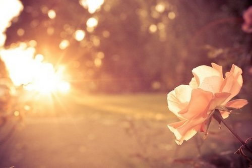 985软件工程考研就业-广州文都考研