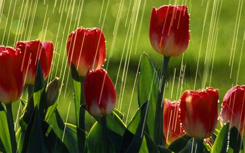 计算机考研方向