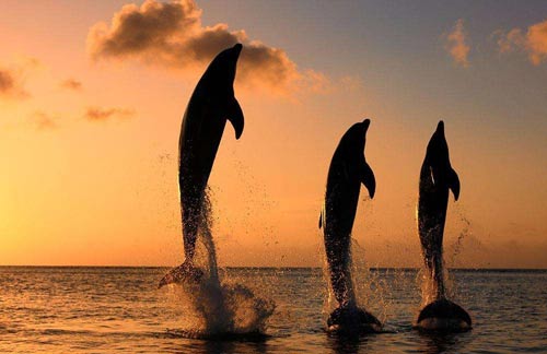 机械专业考研方向