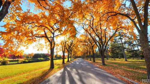 机械类专业考研方向