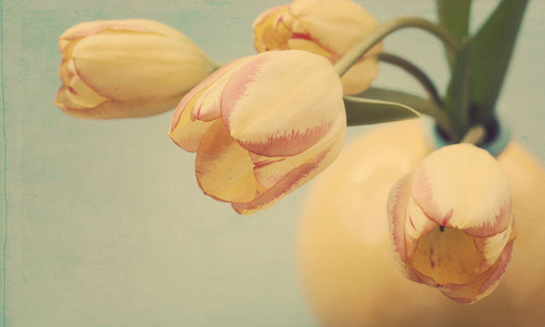 机械工程考研方向