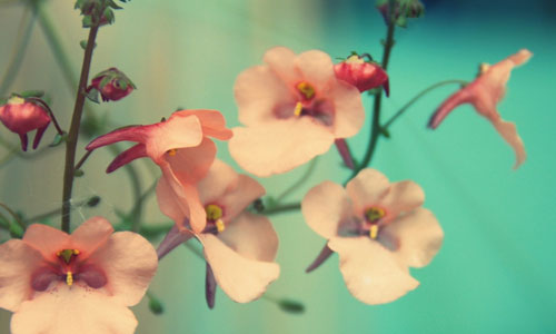 自动化考研哪个方向好