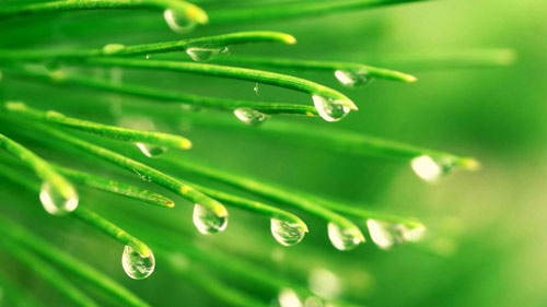 机械类专业的考研方向