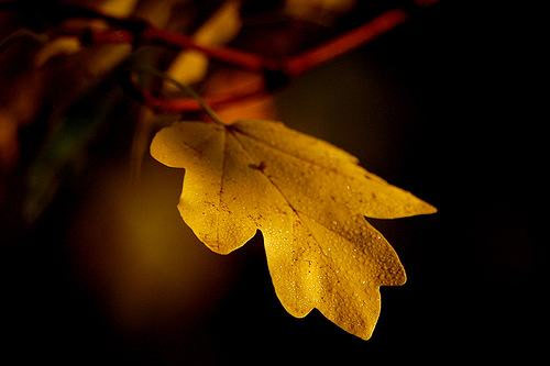 物理学师范类考研方向