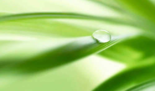 生物制药工程考研方向