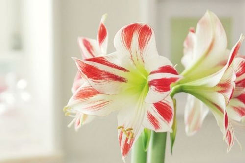 广告学的考研方向