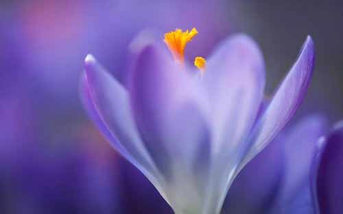 如何快速学会英语