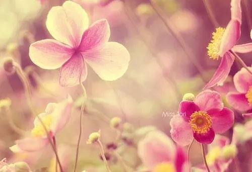 小学数学思想方法的重要性