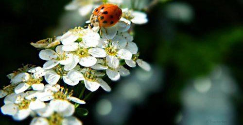 如何做个会聊天的人