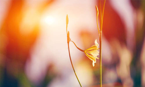 怎么样才能把口才变好