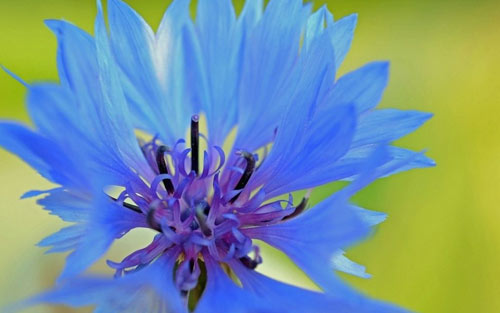 女生临床医学考研方向