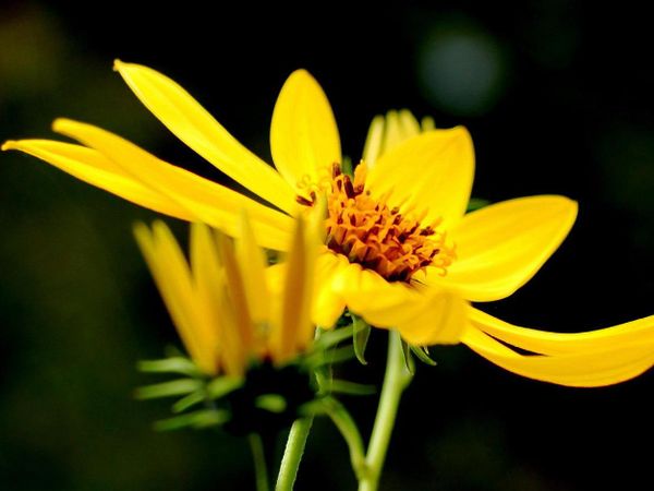 数学建模方法应用