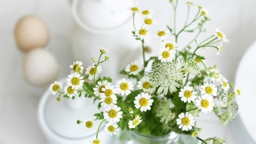 小学生学好数学的方法和技巧