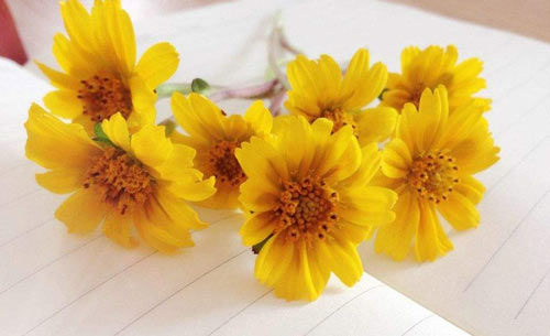 预防医学的考研方向就业