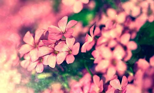 医学考研西综方法