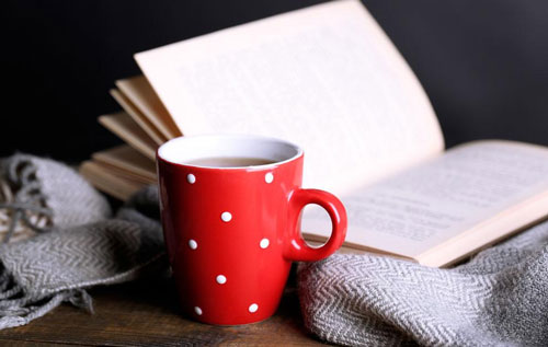 安妮日记读后感演讲稿