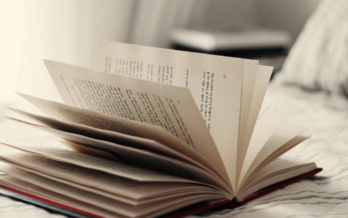 高一英语关于旅游作文范文