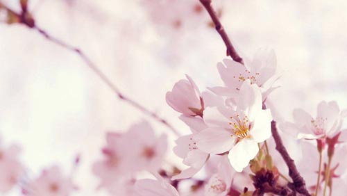 小学生如何面对困难演讲稿