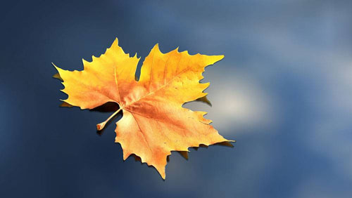 高三升旗仪式演讲稿