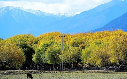 考研如何准备英语作文