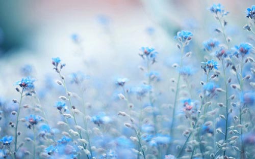 考研政治如何做准备