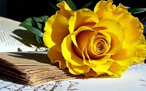 小学语文教学策略方法