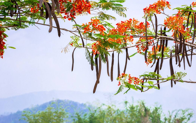 教师的奉献精神演讲稿