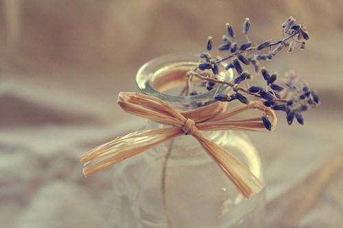 脱稿演讲的要点和技巧