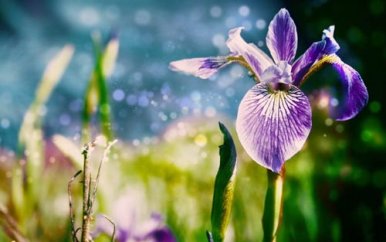 端午节教育国旗下讲话