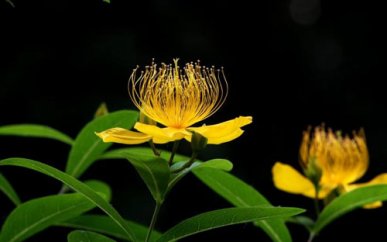 心情总是压抑怎么办