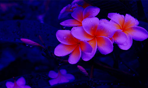 心情不好压抑怎么办