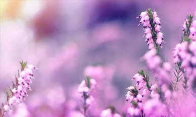 每天心情不好怎么办