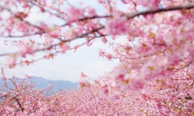 心情总是郁闷怎么办