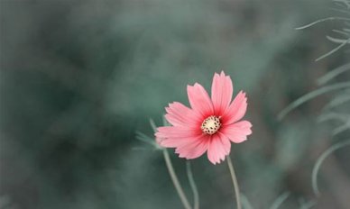 心情总是郁闷怎么办