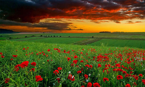 心情特别压抑怎么办