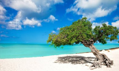 天天心情不好怎么办