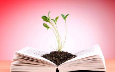 二年级英语兴趣的培养